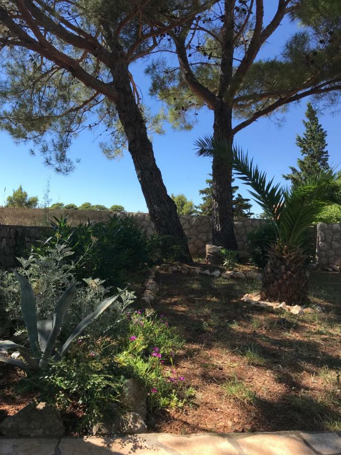 Holiday Home Nova Novalja Exterior photo